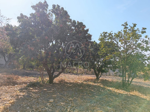 Terreno En Venta En Col. Gabriel Tepepa (ampliación Pesebres) Con Pozo De Agua.