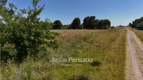 En Venta Terrenos En Zona Termas A 70 Mts Ruta 51