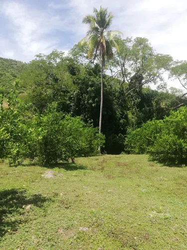 Finca Ganadera Con Nacimiento De Agua Propio
