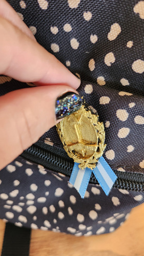 Escarapela Pin Prendedor Argentina Impresión 3d Pla Simil Bronce Escarapela