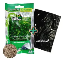 Comprar 750 Semillas De Limoncillo Limon Swinglea Con Bolsas