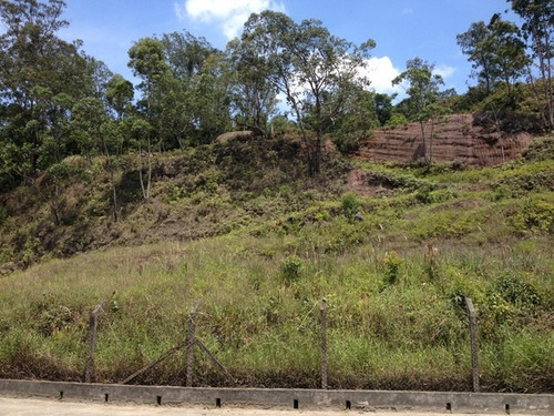 Imagem 29 de 30 de Terreno Botujuru Mogi Das Cruzes Sp Brasil - 87