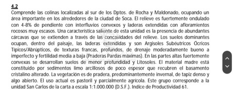 114 Has 9201 M2 En Paraje Jose Ignacio