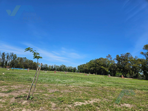 Lote Interno 534 Mts2 En Venta - Barrio Cerrado Santa Sofia - Pilar Del Este