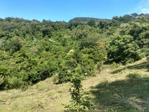 Imagem 15 de 15 de Chácara Para Venda Em Igrejinha, Voluntária Baixa - Cwvcr0133_2-1400751