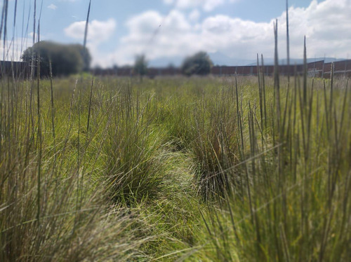 Venta De Terreno Ejidal En Cacalomacan Toluca
