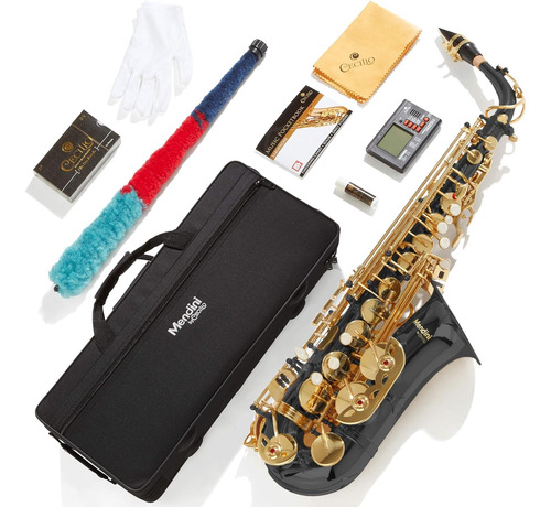 Saxofón Alto Profesional Importado + Kit Completo Accesorios