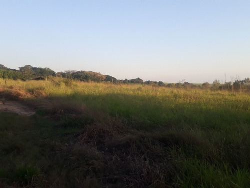 Imagem 26 de 30 de Sítio À Venda, 158994 M² Por R$ 700.000,00 - Santa Terezinha - Piracicaba/sp - Si0028