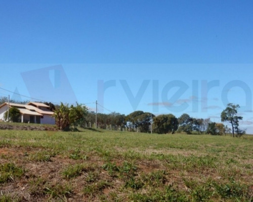 Imagem 5 de 17 de Terreno - 1623 - 32401960