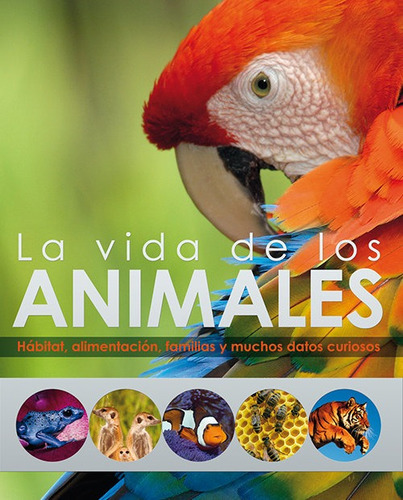La Vida De Los Animales: Hábitat, Alimentación, Familias Y Muchos Datos Curiosos, De Burnie, David., Vol. 1. Editorial San Pablo, Editorial, Tapa Dura En Español