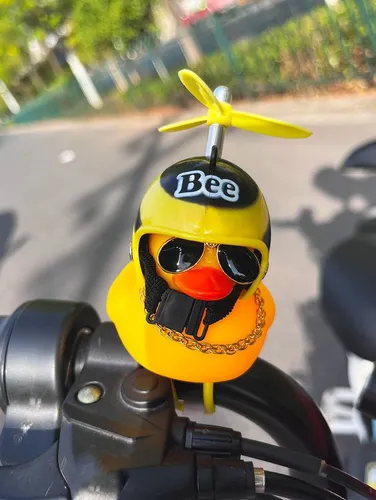 Pato Motero Adorno
