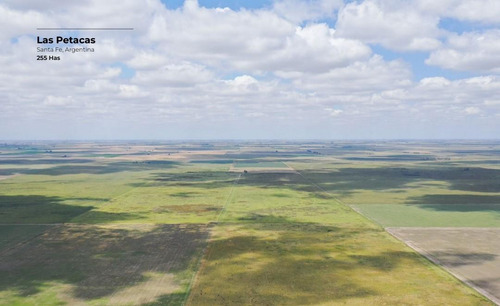 Campo De 255 Hectáreas En Las Petacas, Santa Fe