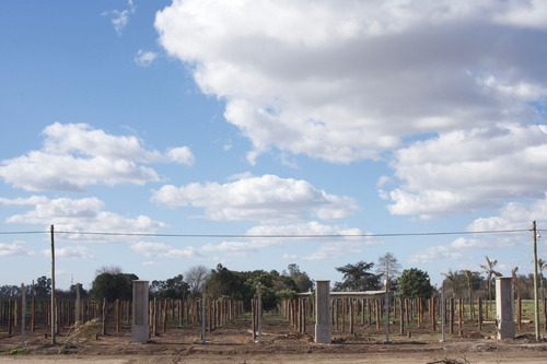 Imagen 4 de 15 de Lotes En Barrio Cerrado Zona Oeste Nueva Autopista