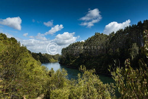 Imagen 4 de 21 de Parcelas A 18 Km De Rio Bueno Con Orilla De Rio