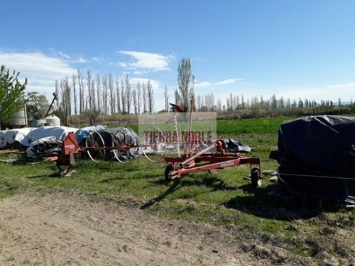 Imagen 14 de 17 de Permuto Por Casa Finca Agroganadera