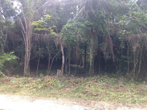 Imagem 2 de 4 de Lote No Jardim Palmeiras A 500 Metros Do Mar Em Itanhaém