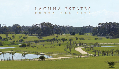 Terreno En Laguna Estates