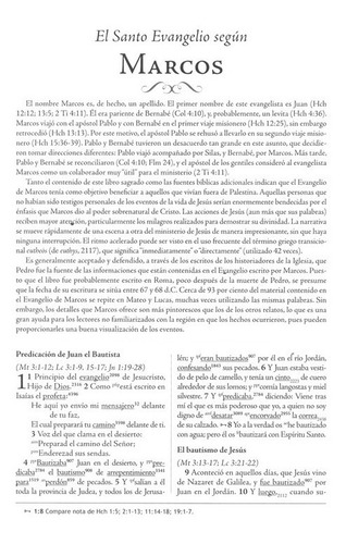 Imagen 4 de 8 de Biblia De Estudio Palabra Clave Con Dicc Hebreo/grieg Marrón
