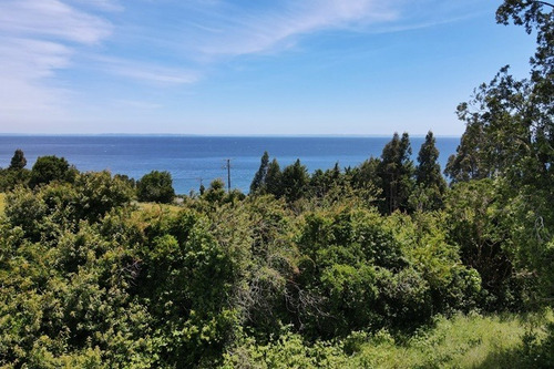 Maravillosa Parcela Con Acceso A La Playa Del Lago