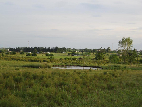 Imagen 3 de 18 de Campo Pegado A Tala, 22 Hás