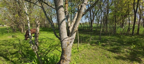 Imagen 4 de 8 de Terreno Lote En Venta En Manzanares, Pilar, G.b.a. Zona Norte