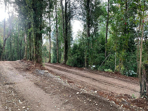 Parcela En Valdivia, Proyecto Alto Río