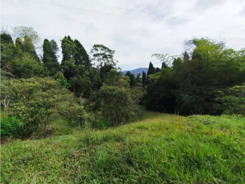 Venta De Lote En Guarne, Vereda Hojas Anchas
