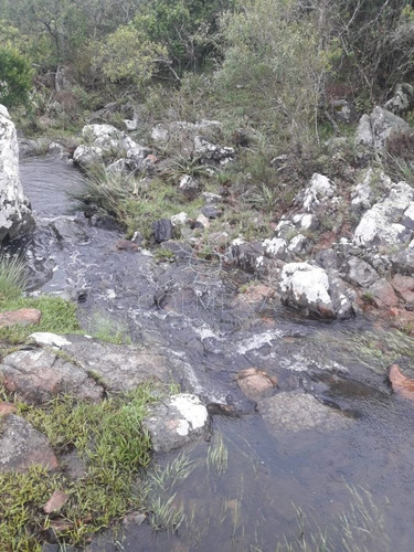 Imagen 7 de 17 de Campo De 15 Has - Consulte !!!!!! - Las Cañas
