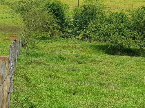 Imagem 8 de 14 de Chácara Em Claraval - Mg - Ch0013_rncr