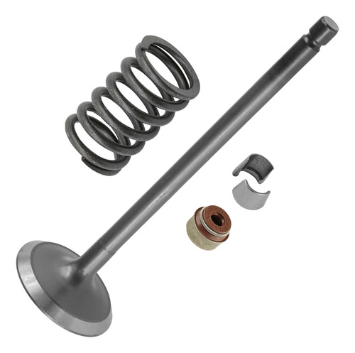 Caltric 0809-229 0809-040 0809-231 0830-186 Exhaust Valv Cch