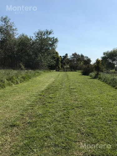 Imagen 6 de 25 de Venta Chacra San Miguel Del Monte