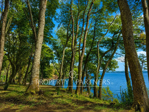 Exclusivas Parcelas Con Orilla Al Lago Puyehue 