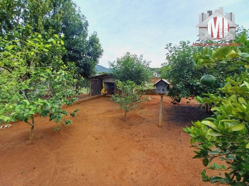 Imagem 12 de 29 de Ótima Chácara Com 2 Dormitórios, Pomar, Horta À Venda, 1400 M² Por R$ 250.000 - Rural - Socorro/sp - Ch1088