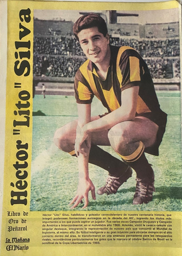 Poster Peñarol Del Libro De Oro 1991 Héctor Lito Silva Ez2c