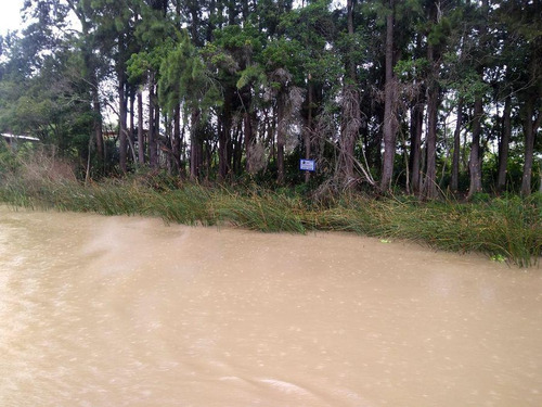 Imagen 2 de 6 de Terreno - Carapachay