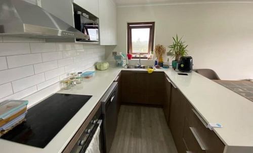 Hermoso Departamento En Arriendo En Isla Teja, Valdivia.