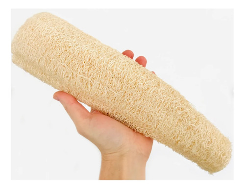 Esponja Vegetal Natural Exfoliante De Cocina Luffa X 3