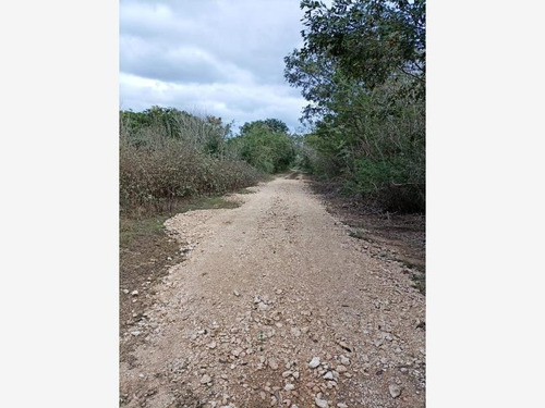 Imagen 2 de 12 de Terreno En Venta Santa María Yaxché