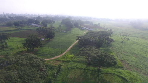 Finca 58 Hectareass, 90% Plana , Agua, Electricidad , Documentos En Bejuma Carabobo 2