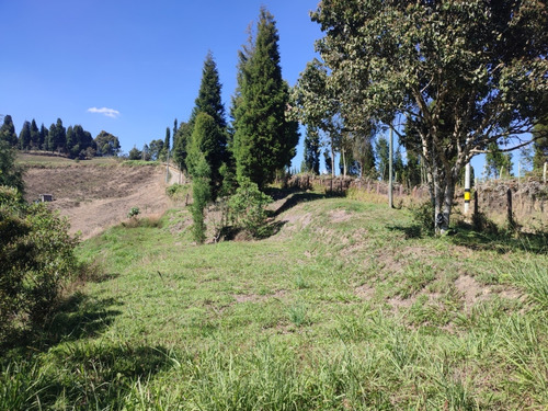 Lote En Venta Guarne Hojas Anchas. 4,607 M2 Para Dos Casas Or3056