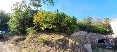 Imagen 2 de 6 de Terreno Con Inmejorable Vista
