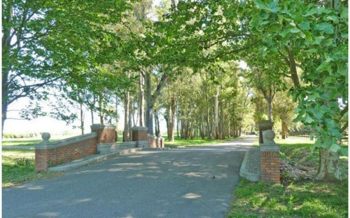 Imagen 5 de 12 de Lotes En Venta En Haras San Pablo - General Rodriguez