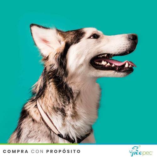 Imagen 2 de 2 de Premios Nupec Dental Care 180g - Cuidado Dental Para Perro