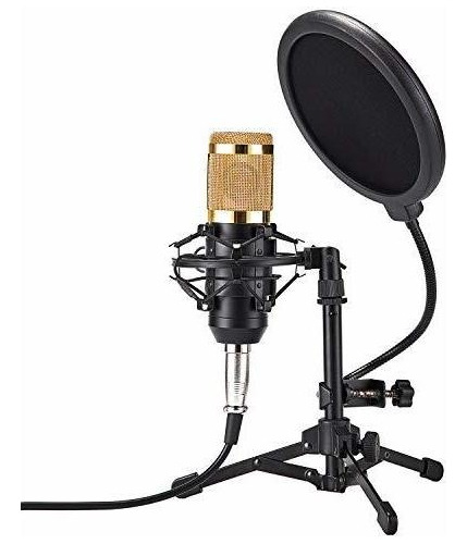 Zingyou Zy Microfono De Condensador Para Estudio Pr