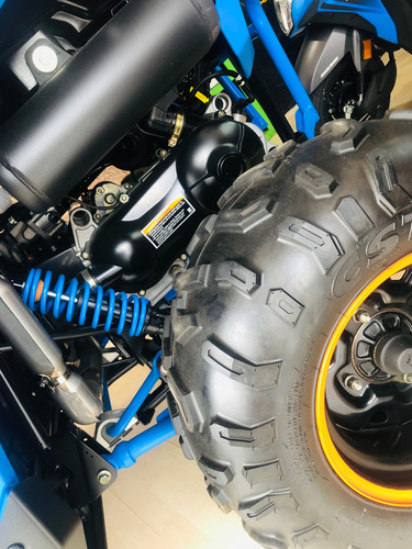 Rzr Efi Tld 200. 2023