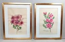 Comprar 2 Antiguos Cuadros Marco Dorado Pintura Flores Acuarel 30x39