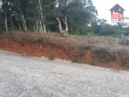 Imagem 9 de 11 de Terreno À Venda, 250 M² Por R$ 80.000 - Cabreúva - Mairiporã/sp - Te0229