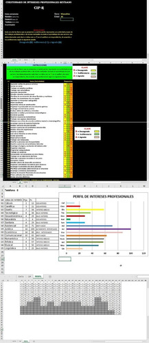 Cuestionario Intereses Profesionales Revisado Cip R