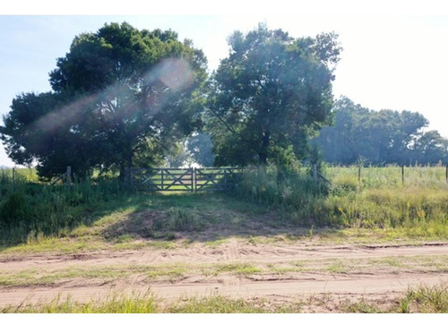 Campo De 55 Hectáreas En Saladillo