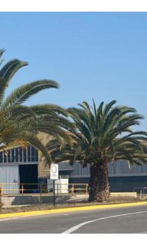 Bodega 355 M2, Alto Estandar Av. Americo Vespucio, Quilicura